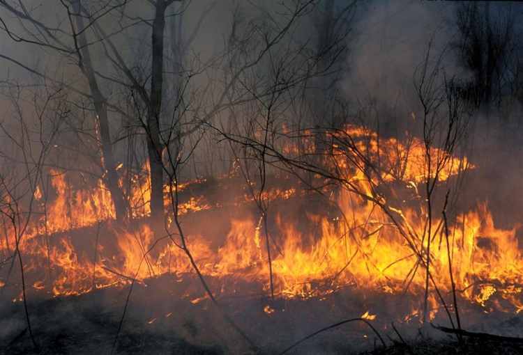 В Хакасии жертвами масштабных природных пожаров стали 34 человека, фото - russianlook.com