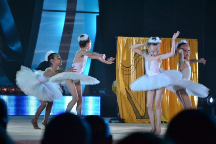 Седьмой фестиваль детской художественной гимнастики «Алина» прошел в Москве, фото - sportsreda.ru