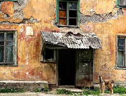 фото из открытых источников фото из открытых источников