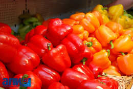 фото: АПИ фото: АПИ