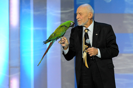 фото:tvc.ru фото:tvc.ru