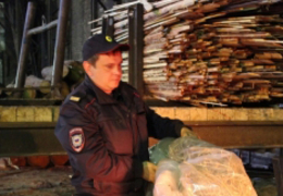  В Нижнем Тагиле полицейские уничтожили семь килограммов наркотиков