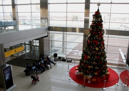 фото: koltsovo.ru фото: koltsovo.ru