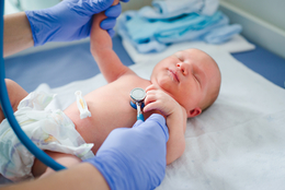 фото: shutterstock.com фото: shutterstock.com
