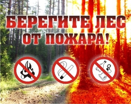 фото: google.ru фото: google.ru