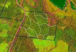 фото: DocPlayer.ru