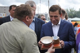 фото: ДИП