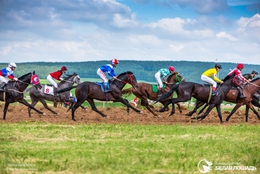 фото: whorse.ru