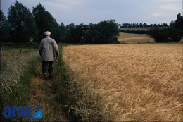 фото: АПИ фото: АПИ