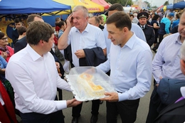 фото: ДИП