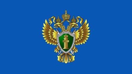 фото: из открытых источников фото: из открытых источников