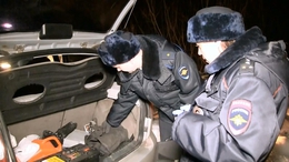 фото: отделение по связям со СМИ УМВД Екатеринбурга. фото: отделение по связям со СМИ УМВД Екатеринбурга.