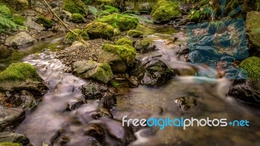 фото: из открытых источников