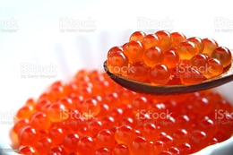 фото: из открытых источников фото: из открытых источников