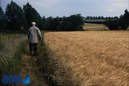 фото: АПИ фото: АПИ