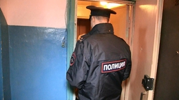фото: отделение по связям со СМИ УМВД Екатеринбурга. фото: отделение по связям со СМИ УМВД Екатеринбурга.