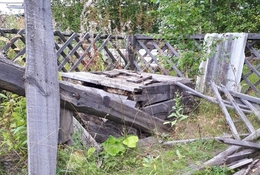 фото: ДИП