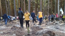 Сотрудники СвЖД высадят более 16 тысяч деревьев в 2021 году
