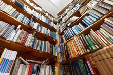 Библиотеки Екатеринбурга проведут познавательную программу «Книжная улыбка лета»
