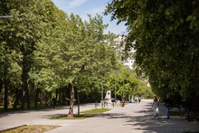 Коммунальщики Екатеринбурга активно включатся в уборку улиц от тополиного пуха