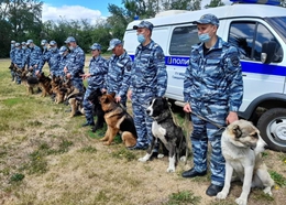 фото: В.Н. Горелых
