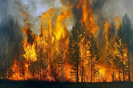 фото: sites.google.com