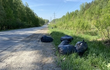 Свердловские экологи проводят ликвидацию несанкционированных свалок