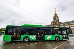 фото: ДИП