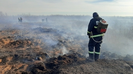 фото: ГУ МЧС по Свердловской области