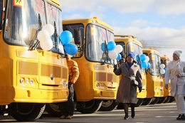 фото: ДИП