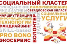 К проекту «Социальный кластер» присоединились почти 250 волонтеров