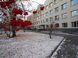 фото: ЕКПЦ