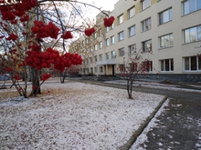 В Екатеринбурге внедрили программу послеродовой реабилитации женщин
