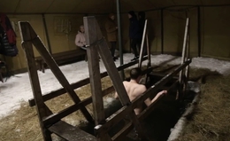 Фото: Министерство здравоохранения Свердловской области
