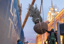 В Екатеринбурге у здания ратуши посадили голубые ели из Казани