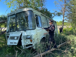 фото: ГИБДД Свердловской области