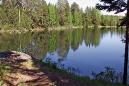 фото: Интернет