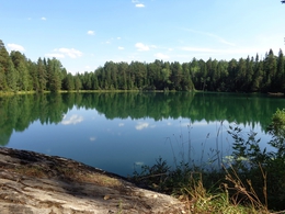 фото: Интернет