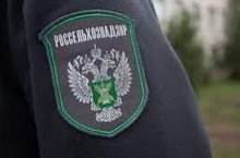 В онкодиспансер Екатеринбурга поступала некачественная сметана