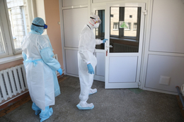 фото: Pexels фото: Pexels