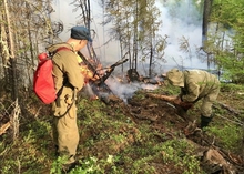 Ликвидирован лесной пожар в Полевском городском округе