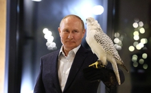 Владимир Путин встретился с участниками молодежного экологического форума