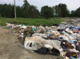 фото: Россельхознадзор по Свердловской области