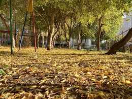 Фото: АПИ