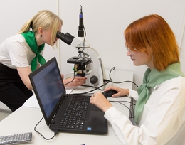 фото: ДИП