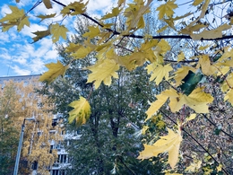 Фото: АПИ