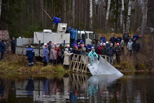«Святогор» запустил сазана в Красноуральское водохранилище