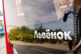 фото: Алина Шешеня