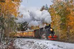 фото: ДИП