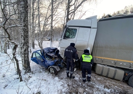 фото: ГИБДД Свердловской области